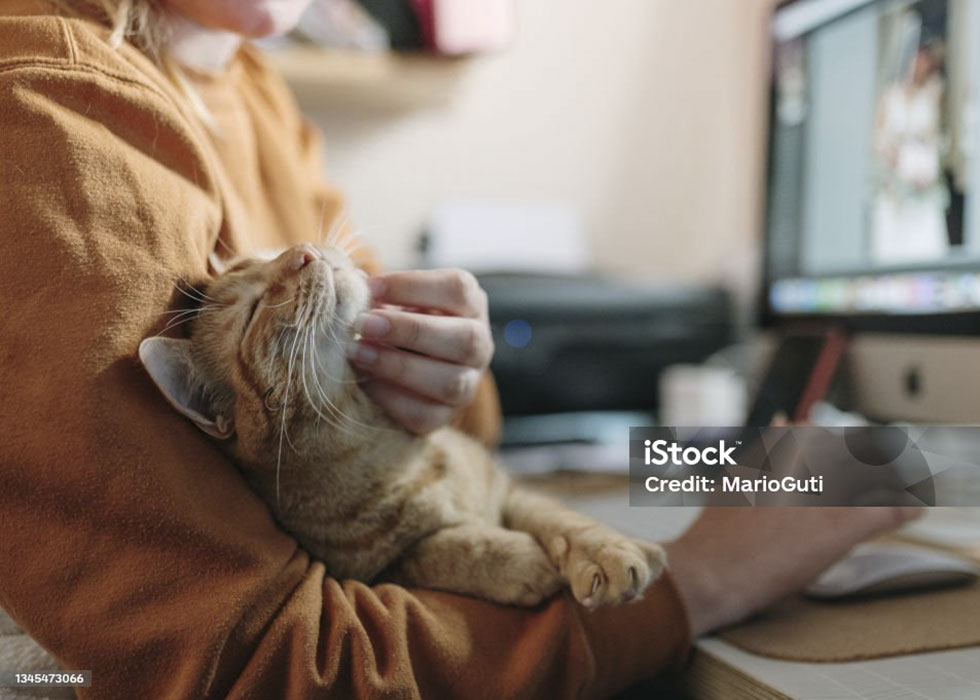 Ossari per Animali