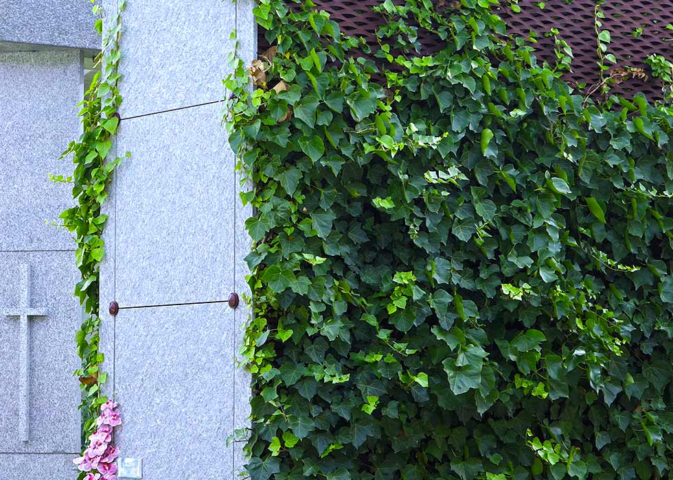 loculi per tombe e cappelle di famiglia